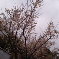 妻との絆