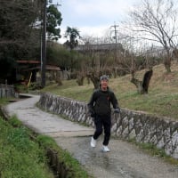 ジャッキーの「遠くへ行って走りたい」（山の辺の道編①）　jogging on the historical road from Sakurai to Tenri in Nara