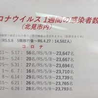 今朝のロータリー広場の気温