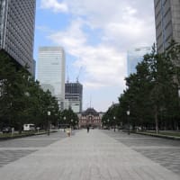 東京建築祭の明治生命館を観覧しました（VOL１）
