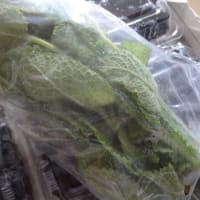 水輪からブルーベリー到着1kg