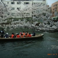 2007　桜