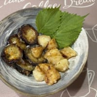 小さな家庭菜園で夏野菜三昧