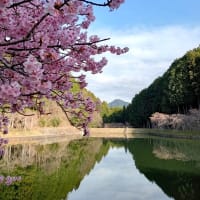5月6月の営業予定と、ソワソワの春