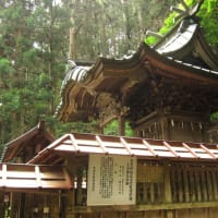 大中神社（常陸太田市）…山深き里の華麗な神殿