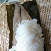 鯖の棒寿司