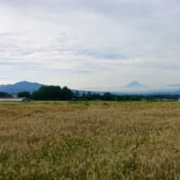 20250627の天気＠八ヶ岳