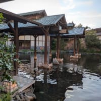 東北のハワイに来る