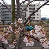予告編：グループわらじ　第615回徒歩定例会「みちのく潮風トレイルⅥ　美田園駅～閖上～荒浜～地下鉄荒井駅」