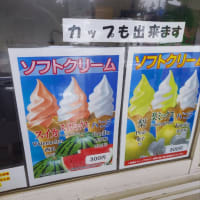 今年の夏はどこへ行こうか～🌺