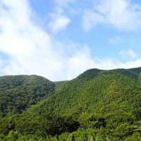６月２９日（木）のつぶやき（リブログ）