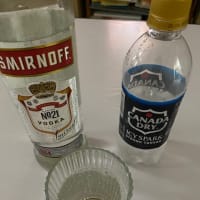 ウォッカと強炭酸無糖飲み比べ