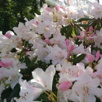 転職に相応しい時期はあるのか？