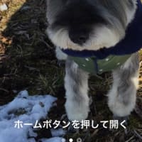 庭仕事師