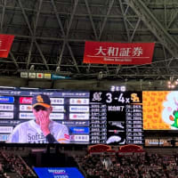 まさかのサヨナラ勝ち！運の良い観戦。