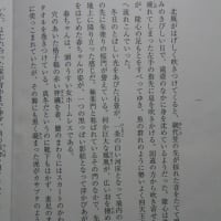 藤本義一賞　