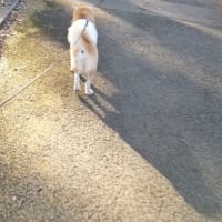 クリンへの想いは尽きなくて・・・302