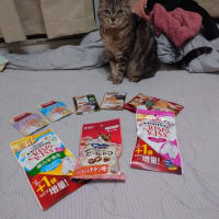 あめちゃん、賑やかな御誕生日会！