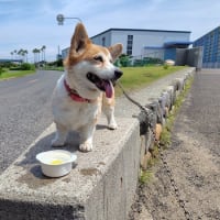 一瞬ビビった・・・