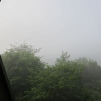 日陰仕事～♪