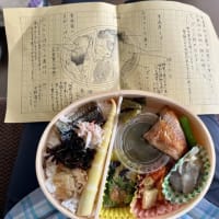 私、白神山地で暮らせるかも