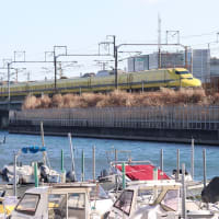 経済諸問題の大変さは分かるが