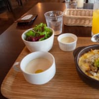 三景園　花まつり　1万株のアジサイを堪能しました　広島県三原市本郷町 広島空港隣地