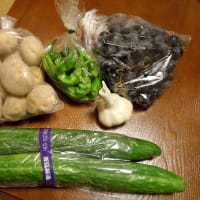つぶやき#2543 再び若狭・越前・近江へ 甲良町で
