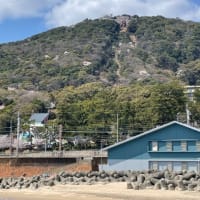 先の事はわからないもんですねぇ