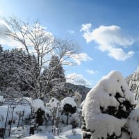 降雪