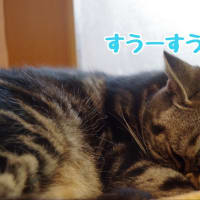 ゴールデンウィーク