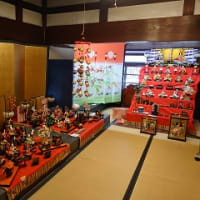 勘兵衛はうすで雛人形の展示作業