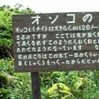海鳥のサンクチュアリ　天売島と森林浴を楽しむメルヘンの焼尻島　６４回目　焼尻島
