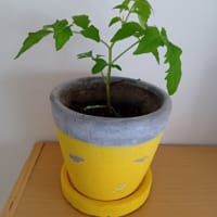 2025/06/06に思うこと