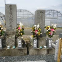三河博徒　雲風の亀吉