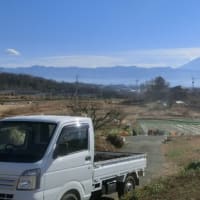 12月　畑