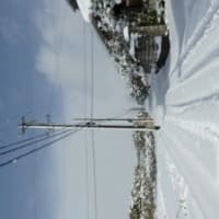 明けまして大雪です