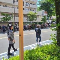 大國魂神社のくらやみ祭り。交通事故、産後調整、繰り返すぎっくり腰なら【立川市のヒロ整骨院】