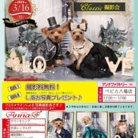 撮影会予約受付中！