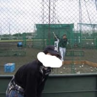 石垣島キャンプを見てきました！