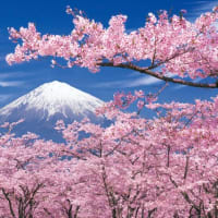 I'm sure you'll enjoy our Japanese hot springs　われわれ日本の温泉は気持ちいい。