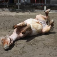 GWですね！！