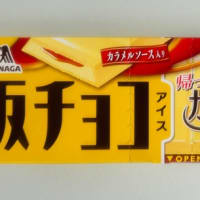 ◆森永製菓／板チョコアイス・カラメルプリン味◆