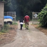 プレオープンで一泊