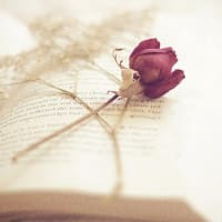 【衝撃の暴露】ついに公式文書で判明…オバマ政権の“裏の顔”とは？