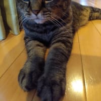 その場所は