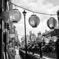 monochrome
