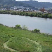 週末のテクテク散歩は太田川北コースで大芝水門へ・・・自然と都市部が近い広島の街です