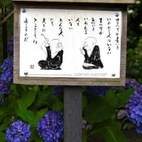 名言の寺