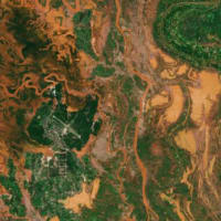 宇宙から見た地球：マダガスカルのクラゲ